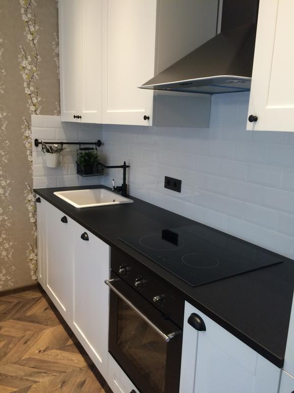 Luxury Apartment 드루스키닝카이 외부 사진